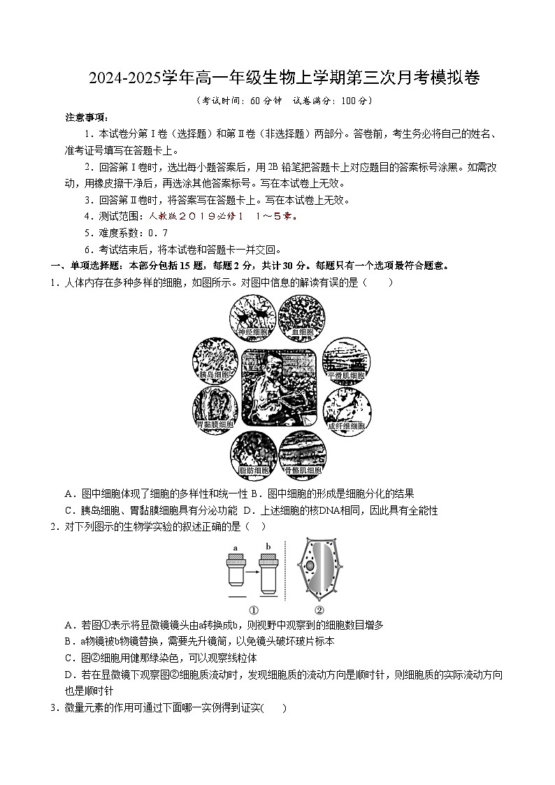 高一生物第三次月考卷（江苏专用，人教版2019必修1第1~5章）2024-2025学年初中上学期第三次月考01