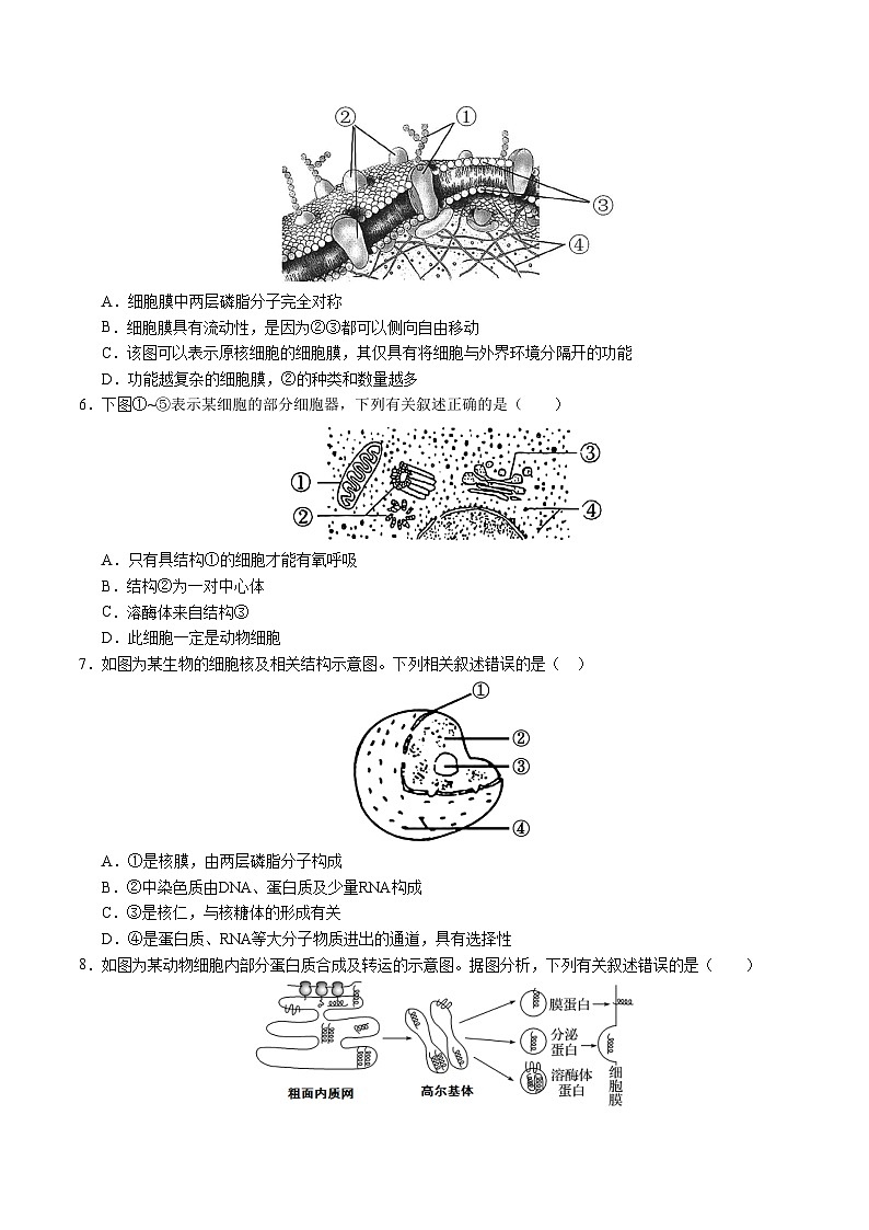 高一生物第三次月考卷【测试范围：浙科版2019必修1第1~3章】（考试版A4）（浙江专用）第2页