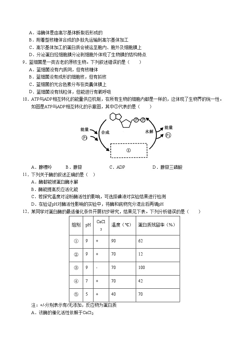 高一生物第三次月考卷【测试范围：浙科版2019必修1第1~3章】（考试版A4）（浙江专用）第3页