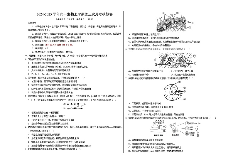 高一生物第三次月考卷【测试范围：浙科版2019必修1第1~3章】（考试版A3）（浙江专用）第1页