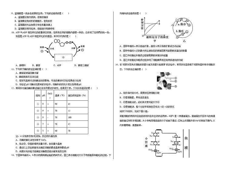 高一生物第三次月考卷【测试范围：浙科版2019必修1第1~3章】（考试版A3）（浙江专用）第2页