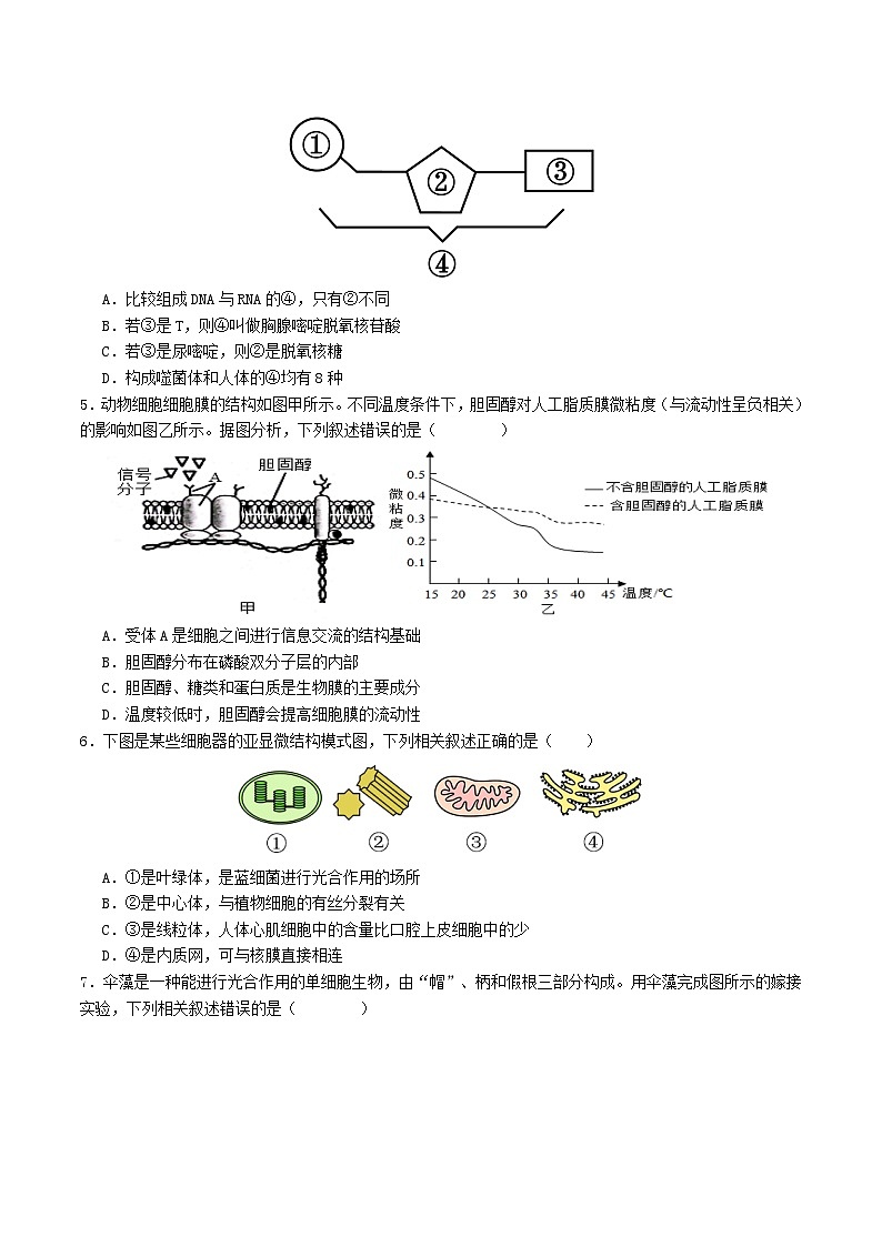 高一生物第三次月考卷（苏教版2019，必修1第一章到第三章第二节）2024-2025学年高中上学期第三次月考.zip02