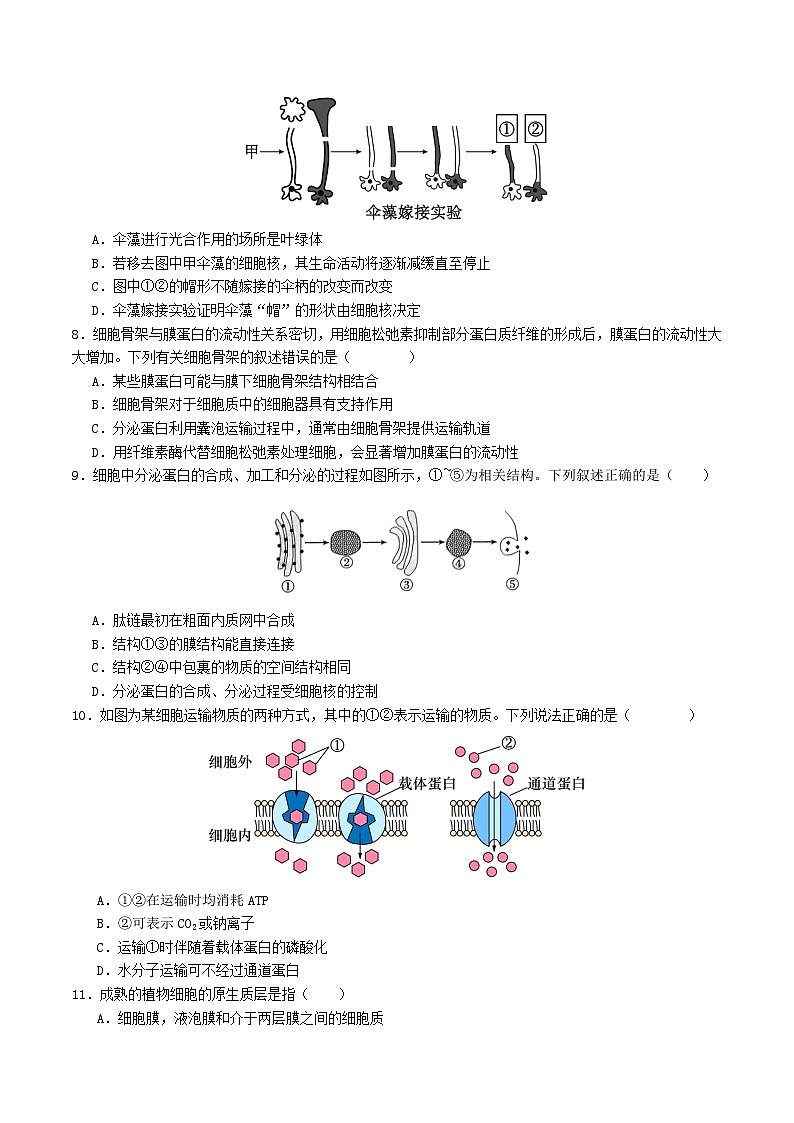 高一生物第三次月考卷（苏教版2019，必修1第一章到第三章第二节）2024-2025学年高中上学期第三次月考.zip03