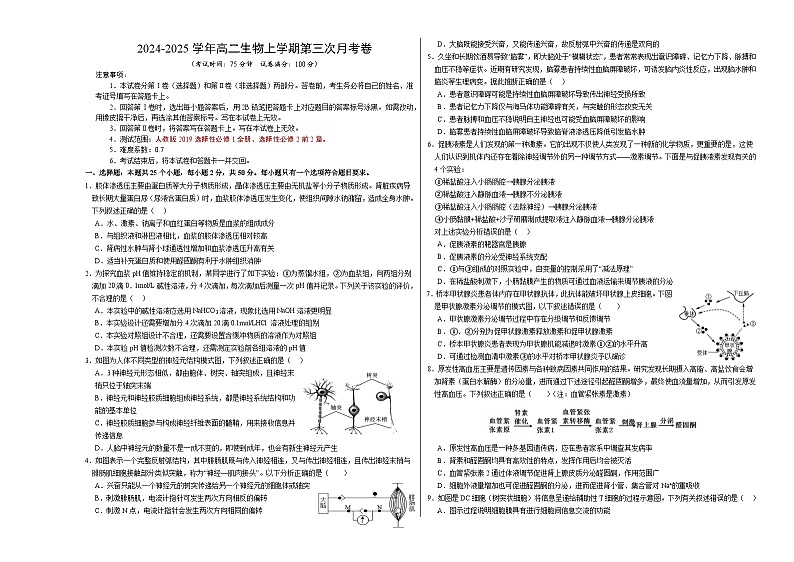 高二生物第三次月考卷01【测试范围：人教版2019选择性必修1全册、选择性必修2前2章】（考试版A3）第1页