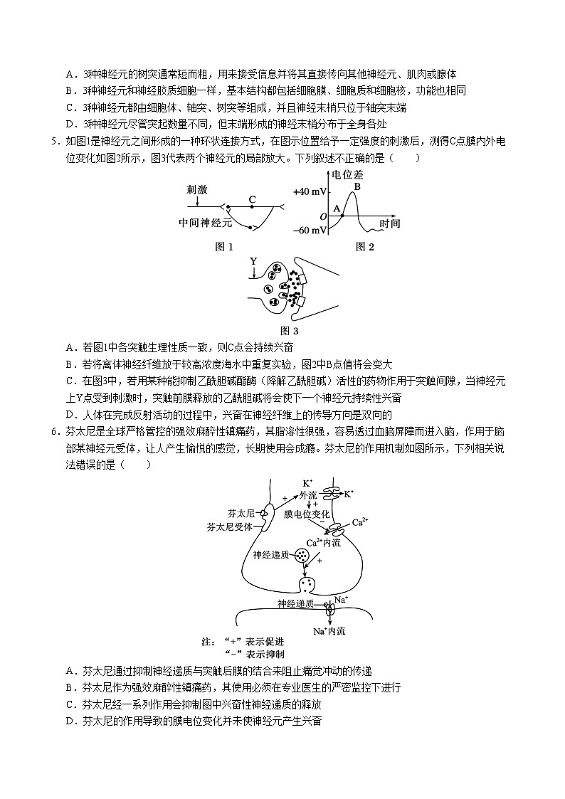 高二生物第三次月考卷02【测试范围：选择性必修1+选择性必修二第1-2章】（考试版A4）（人教版2019）第2页