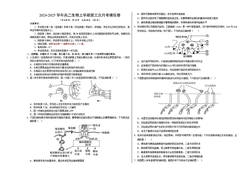 高二生物第三次月考卷【测试范围：选择性必修一+选择性必修二1-2章】（考试版A3）（北京专用）第1页