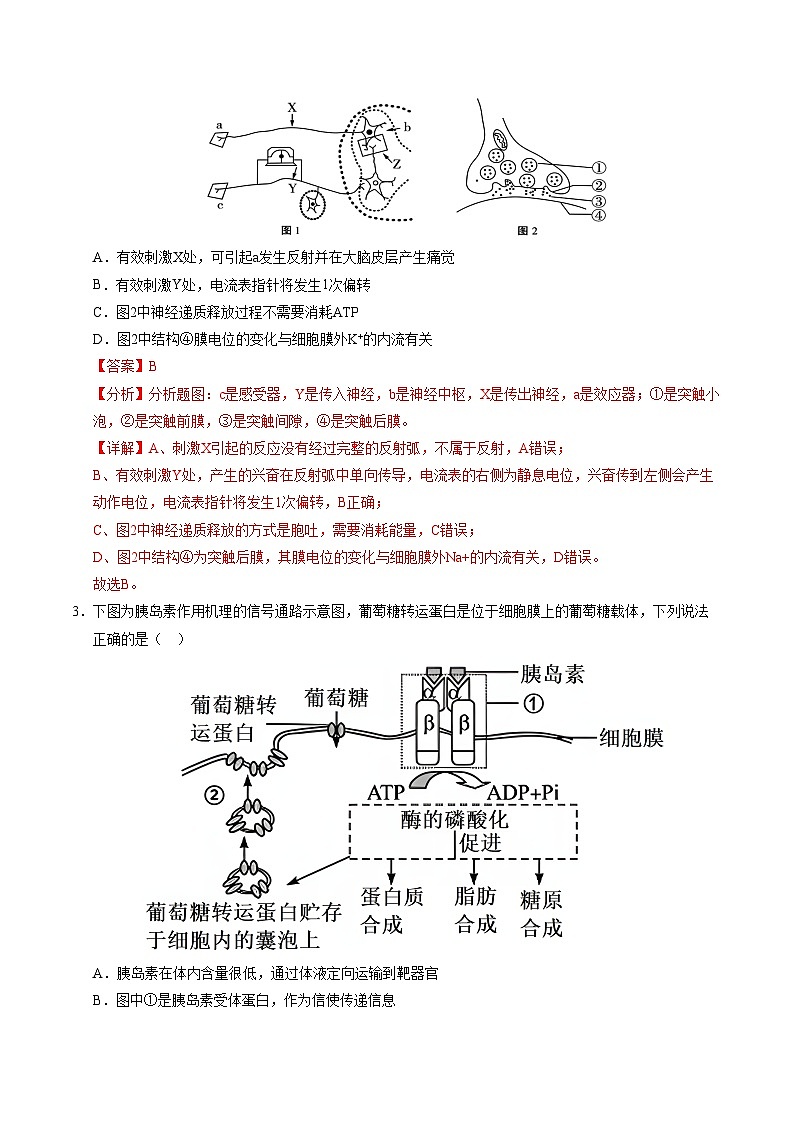 高二生物第三次月考卷（全解全析）（北京专用）第2页