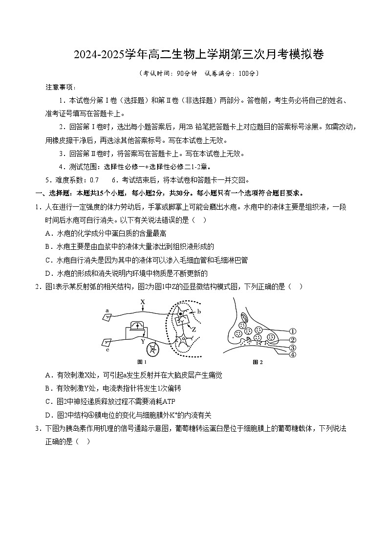 高二生物第三次月考卷【测试范围：选择性必修一+选择性必修二1-2章】（考试版A4）（北京专用）第1页