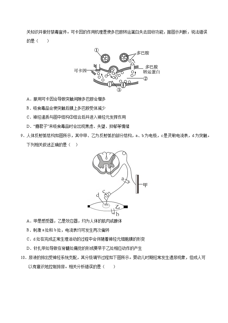 高二生物第三次月考卷【测试范围：人教版2019选择性必修１】（考试版A4）（天津专用）第3页