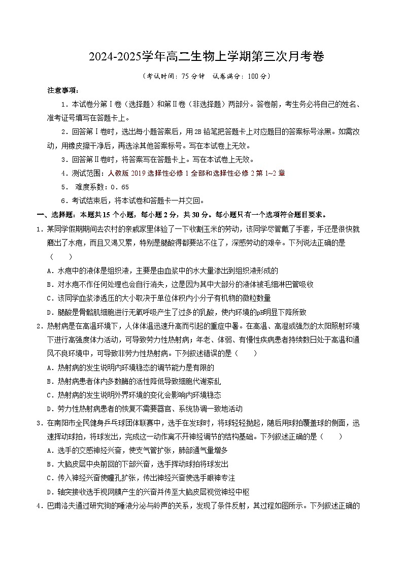 高二生物第三次月考卷【测试范围：人教版2019选必1全部+选必2前2章】（考试版A4）第1页