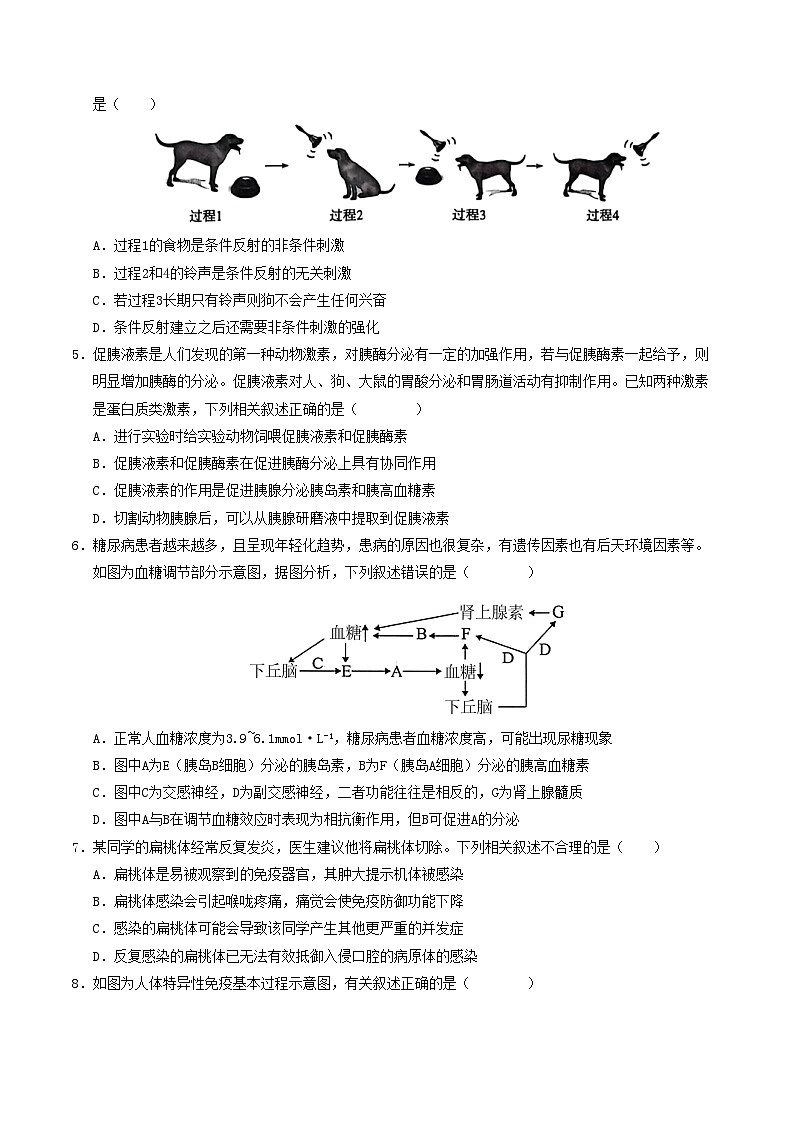 高二生物第三次月考卷【测试范围：人教版2019选必1全部+选必2前2章】（考试版A4）第2页