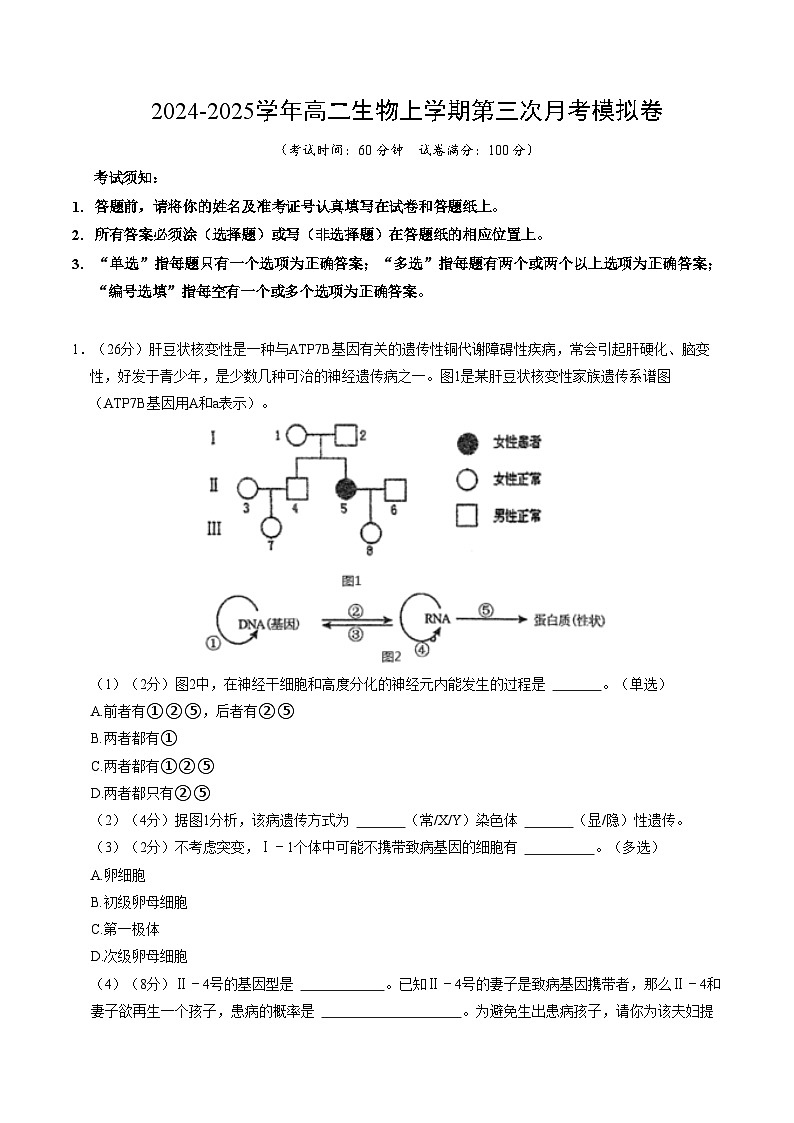 高二生物第三次月考卷（沪科版2020，上海专用）2024-2025学年初中上学期第三次月考01
