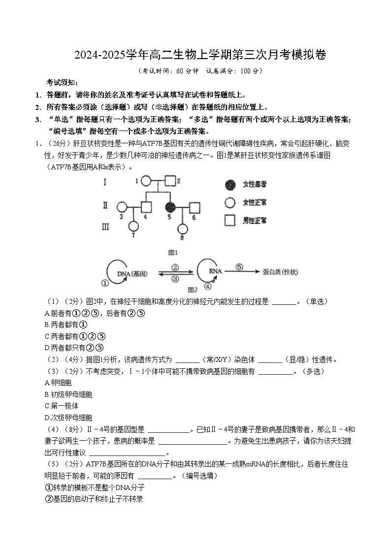 高二生物第三次月考卷（沪科版2020，上海专用）2024-2025学年初中上学期第三次月考01