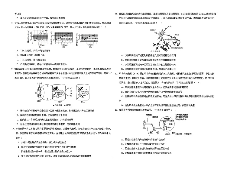 高二生物第三次月考卷【测试范围：浙科版2019选择性必修１】（考试版A3）（浙江专用）第2页