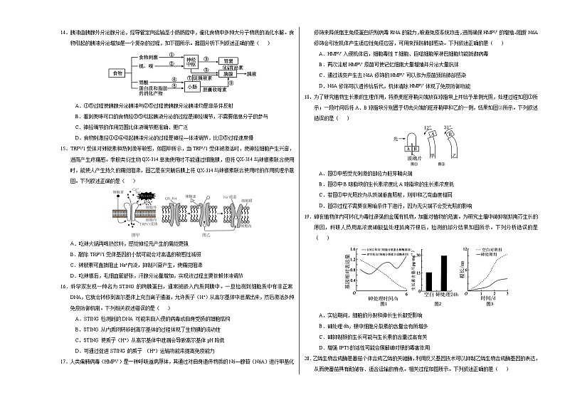 高二生物第三次月考卷【测试范围：浙科版2019选择性必修１】（考试版A3）（浙江专用）第3页