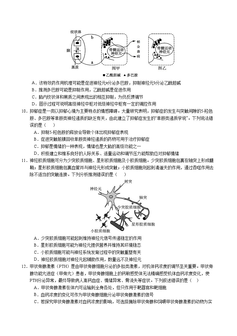 高二生物第三次月考卷【测试范围：浙科版2019选择性必修１】（考试版A4）（浙江专用）第3页