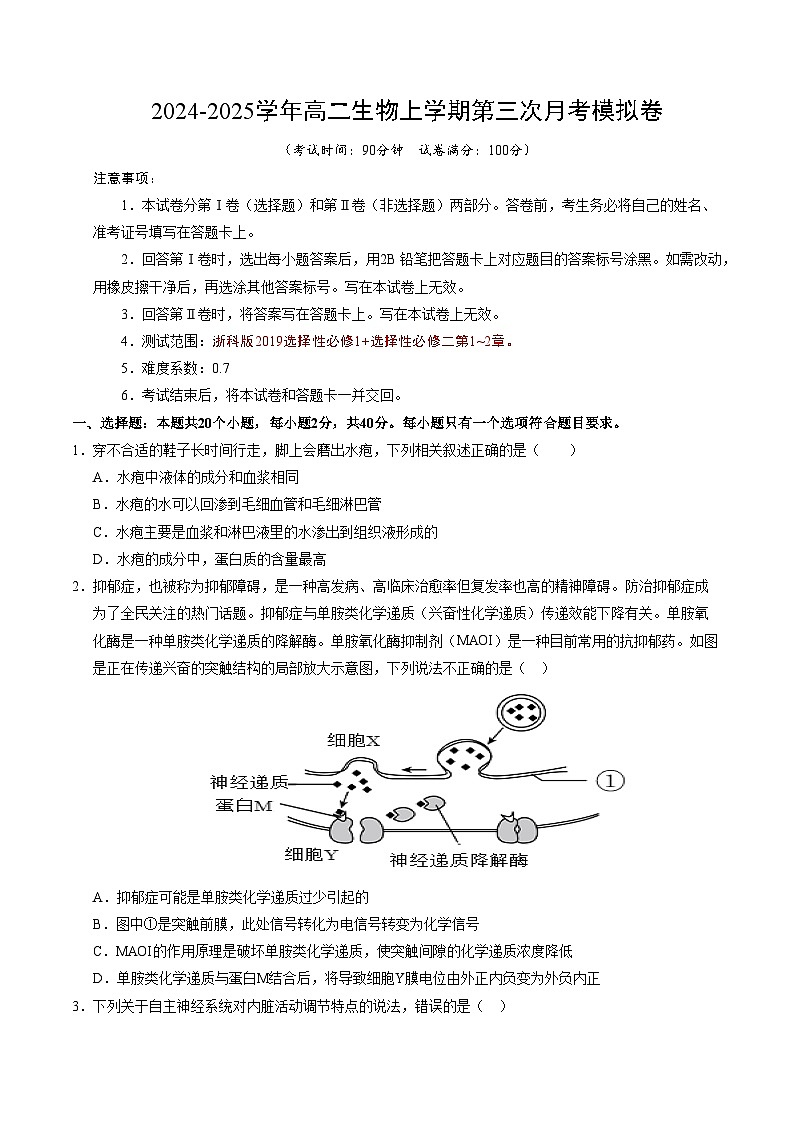 高二生物第三次月考卷（浙科版2019选择性必修一+选择性必修二1+2章）2024-2025学年高中上学期第三次月考01