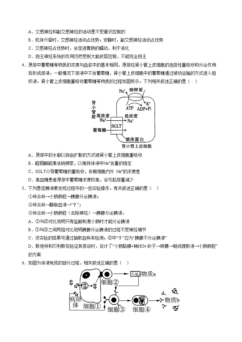 高二生物第三次月考卷（浙科版2019选择性必修一+选择性必修二1+2章）2024-2025学年高中上学期第三次月考02