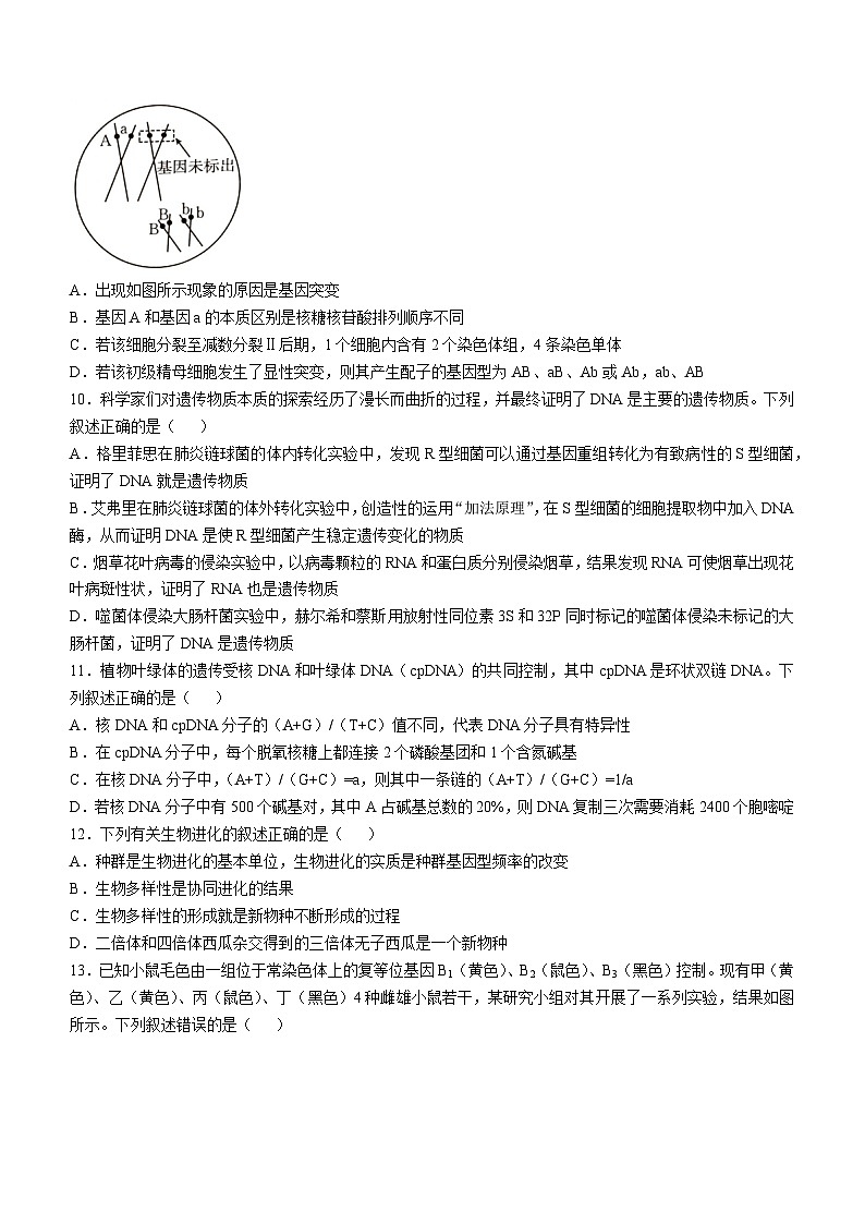 2025承德高三上学期期中考试生物含答案第3页