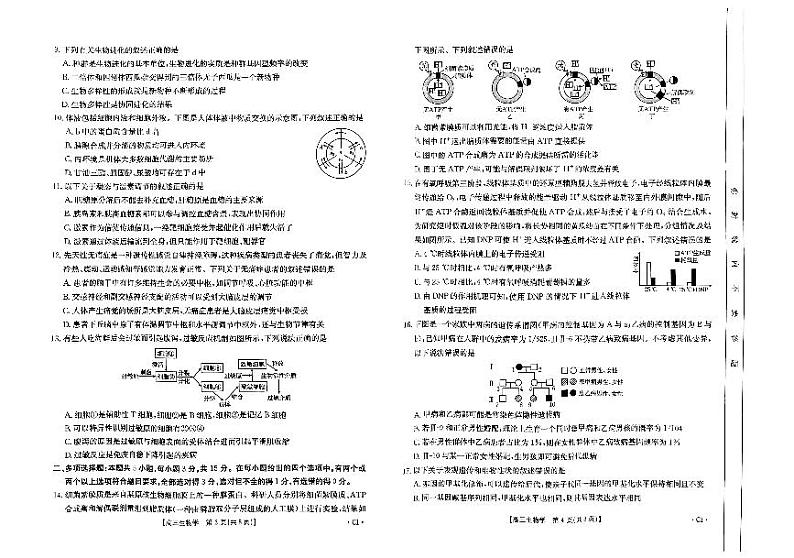 2025秦皇岛部分学校高三上学期11月期中考试生物PDF版含解析第2页