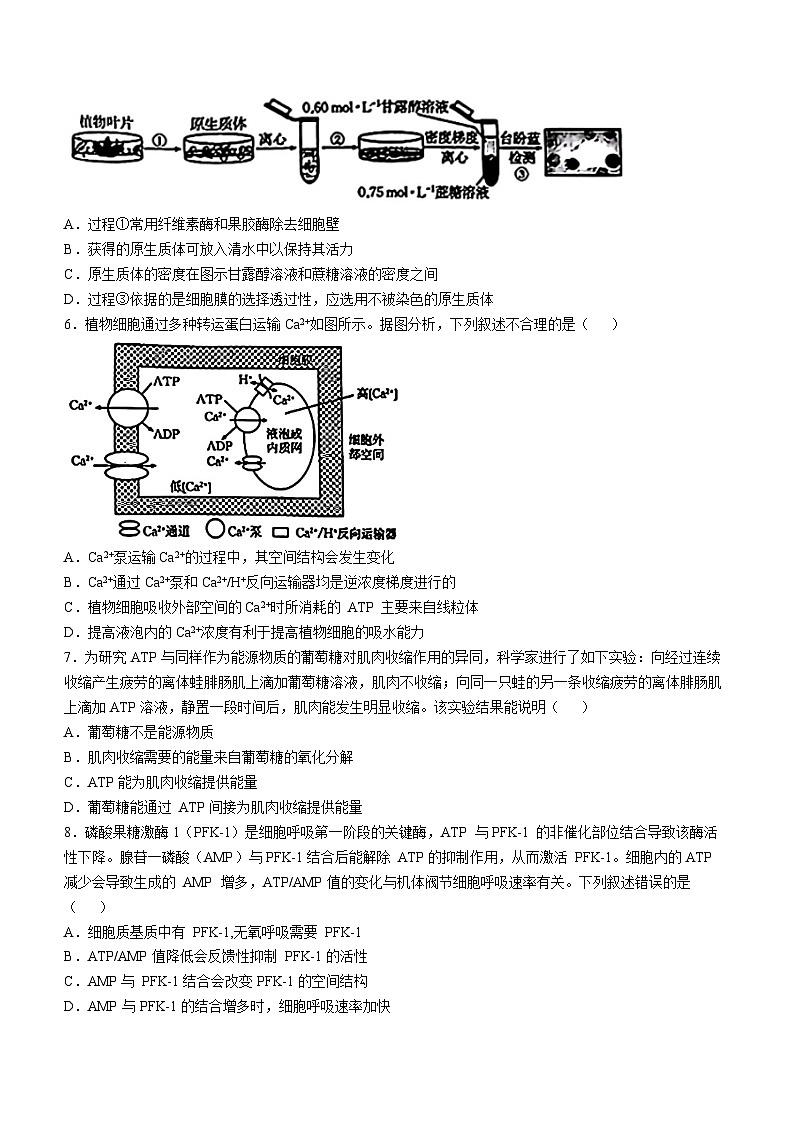 2025青海省名校联盟高三上学期期中联考试题生物含答案第2页