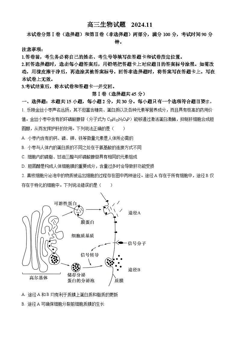 山东省德州市2024-2025学年高三上学期期中考试生物试题无答案第1页