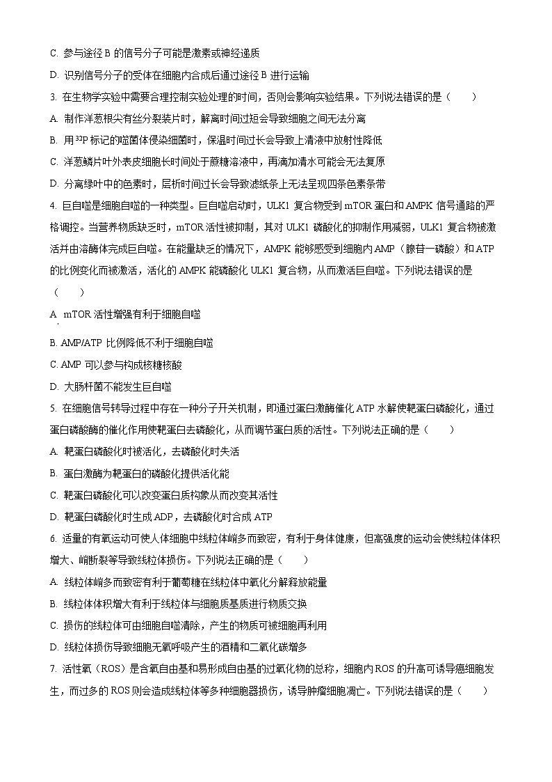山东省德州市2024-2025学年高三上学期期中考试生物试题无答案第2页