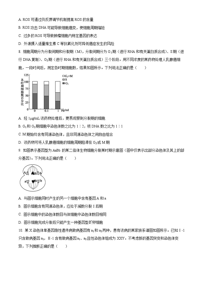 山东省德州市2024-2025学年高三上学期期中考试生物试题无答案第3页