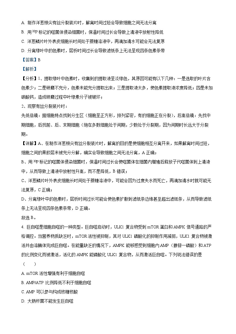 山东省德州市2024-2025学年高三上学期期中考试生物试题含解析第3页