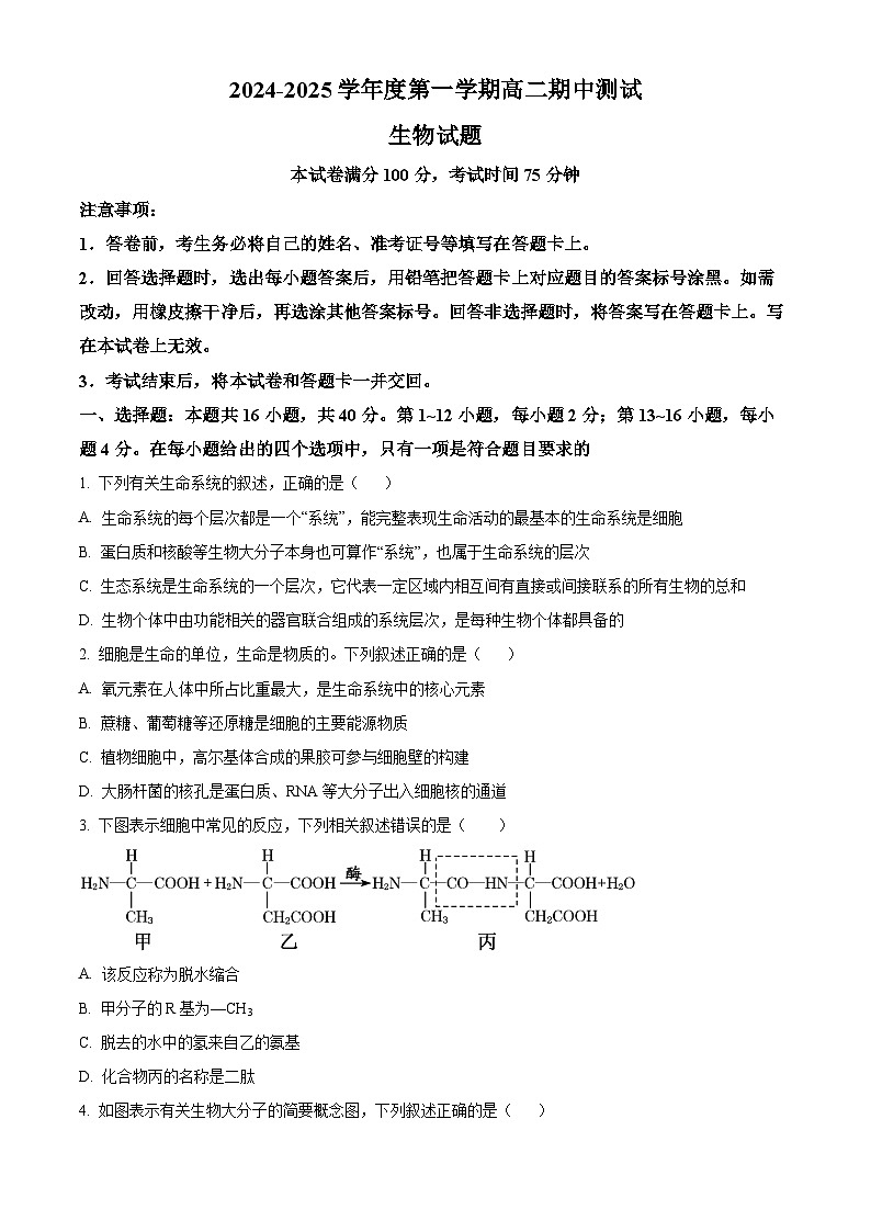 广东省阳江市高新区2024-2025学年高二上学期11月期中生物试题无答案第1页
