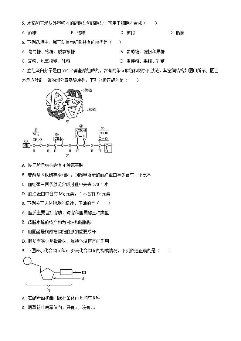 江苏省连云港市东海县2024-2025学年高一上学期期中考试生物试题无答案第2页