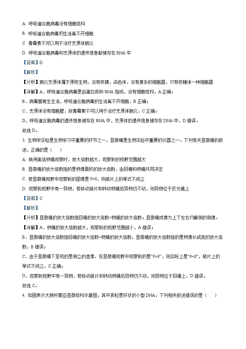 河南省九师联考2024-2025学年高一上学期11月期中生物试题含解析第2页