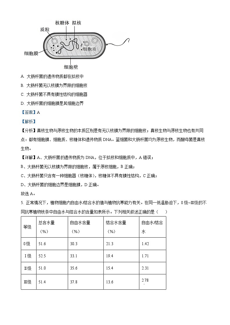 河南省九师联考2024-2025学年高一上学期11月期中生物试题含解析第3页