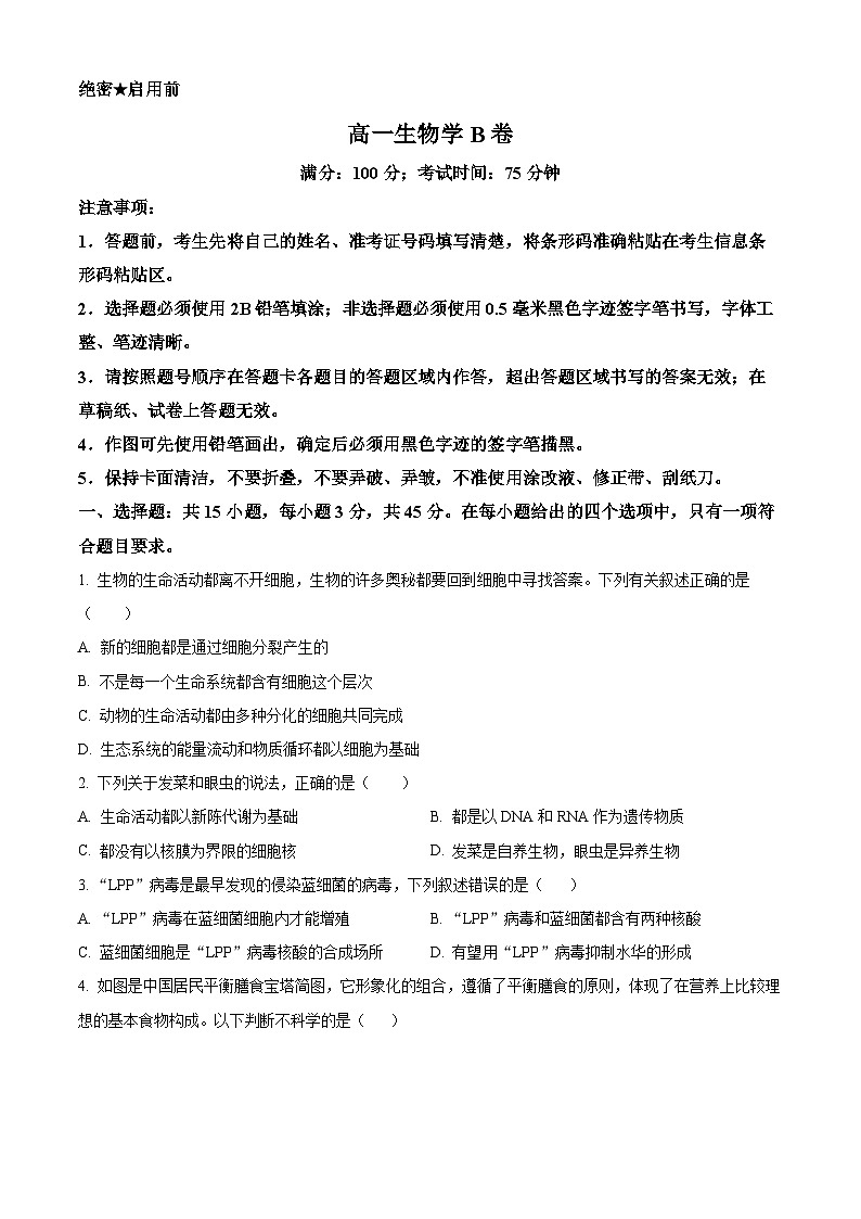 安徽省鼎尖教育2024-2025学年高一上学期11月期中考试生物B卷试题无答案第1页