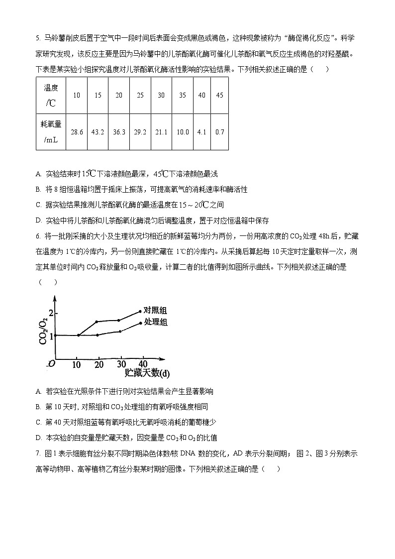 天津市河北区2024-2025学年高三上学期11月期中质量检测生物试题  Word版无答案第2页