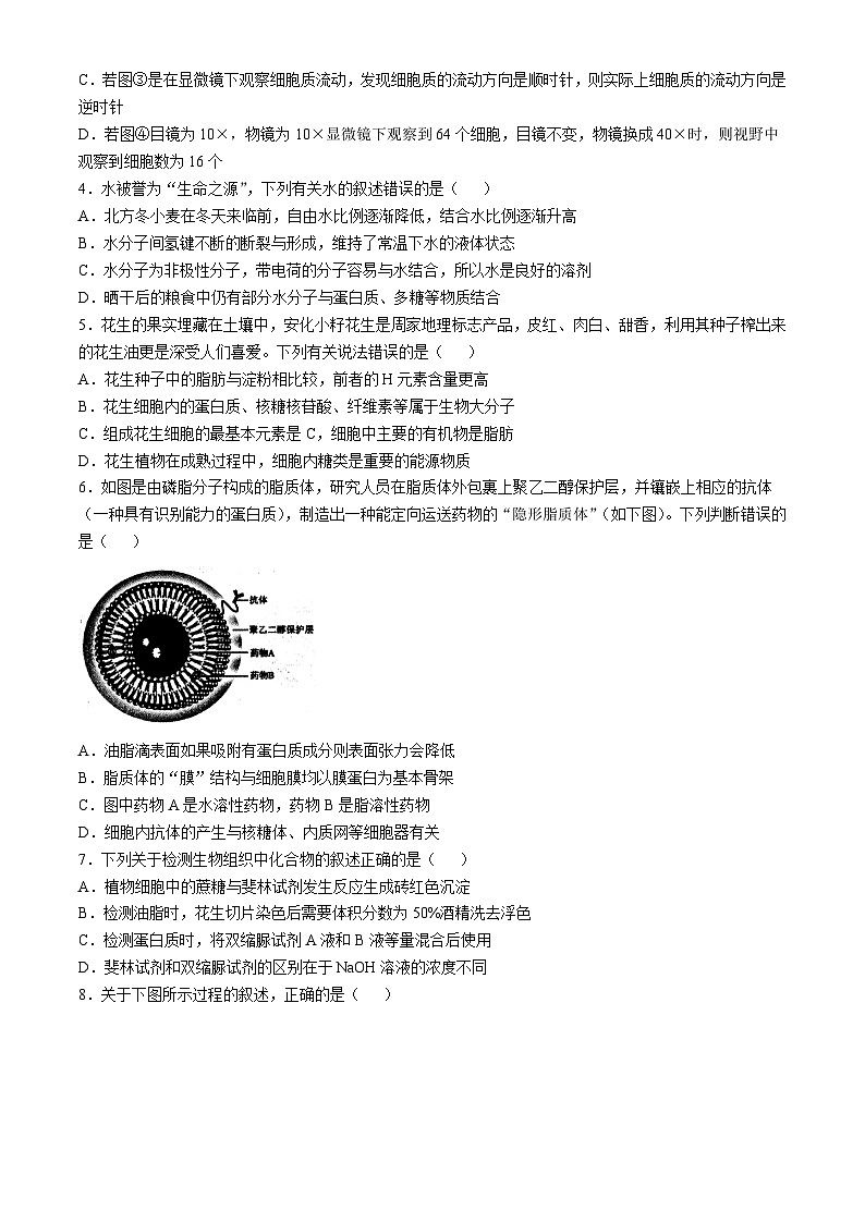 山西省大同市2024-2025学年高一上学期11月期中考试生物试卷（Word版附答案）第2页