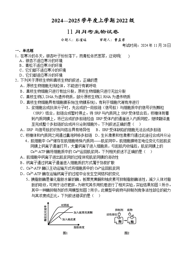 湖北省荆州市沙市中学2024-2025学年高三上学期11月月考生物试卷（Word版附答案）第1页