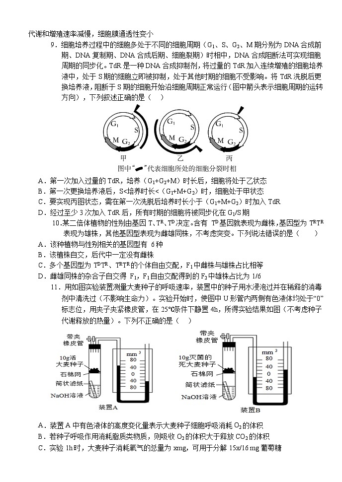 湖北省荆州市沙市中学2024-2025学年高三上学期11月月考生物试卷（Word版附答案）第3页