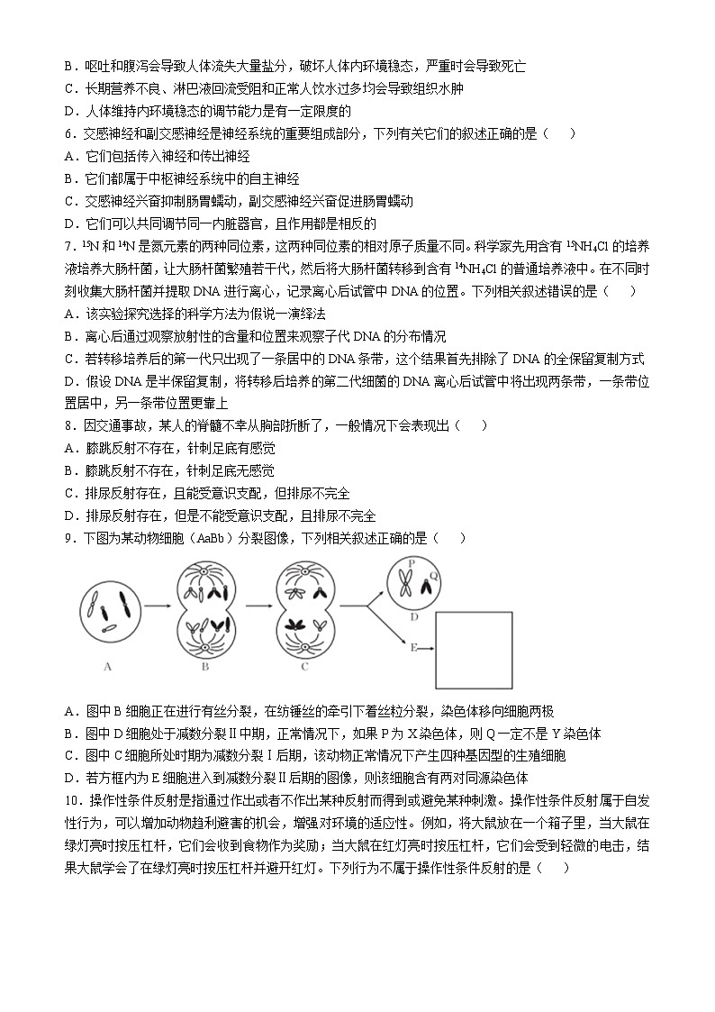 湖北省恩施州高中教育联盟2024-2025学年高二上学期期中考试生物试卷（Word版附答案）第2页