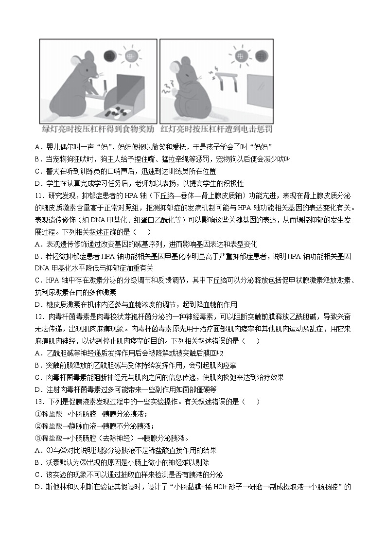 湖北省恩施州高中教育联盟2024-2025学年高二上学期期中考试生物试卷（Word版附答案）第3页
