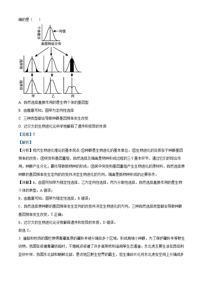 湖北省楚天协作体2024-2025学年高二上学期11月期中考试生物试题 Word版含解析第2页