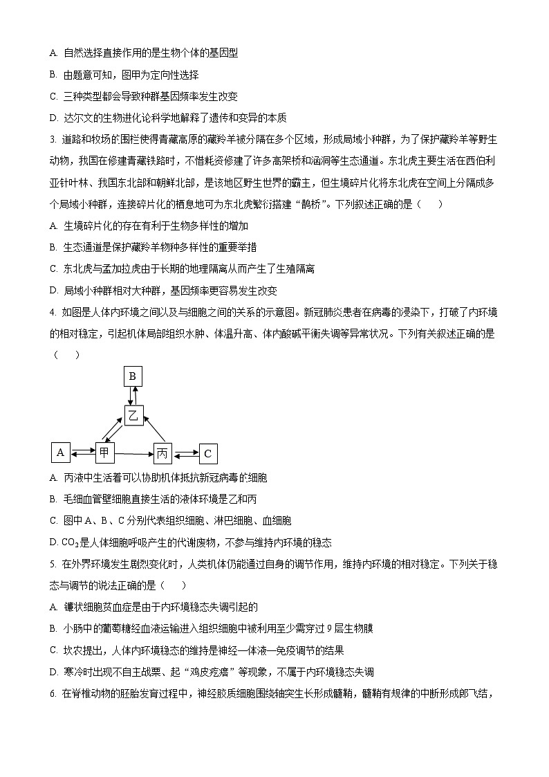 湖北省楚天协作体2024-2025学年高二上学期11月期中考试生物试题 Word版无答案第2页