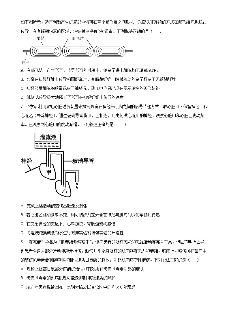 湖北省楚天协作体2024-2025学年高二上学期11月期中考试生物试题 Word版无答案第3页
