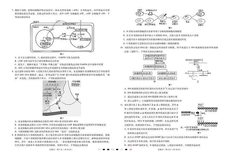 巴蜀中学2025届高考适应性月考卷（三）生物-试卷第2页