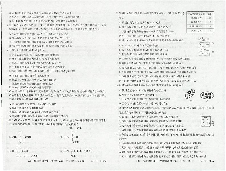 陕西省榆林市榆阳区榆林市第十四中学2024-2025学年高一上学期11月期中考试生物试题第2页