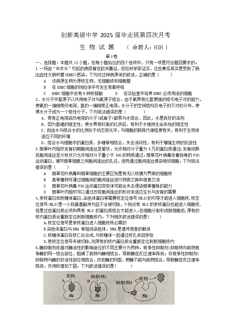 湖南省邵东市创新高级中学2024-2025学年高三上学期第四次月考生物试题第1页
