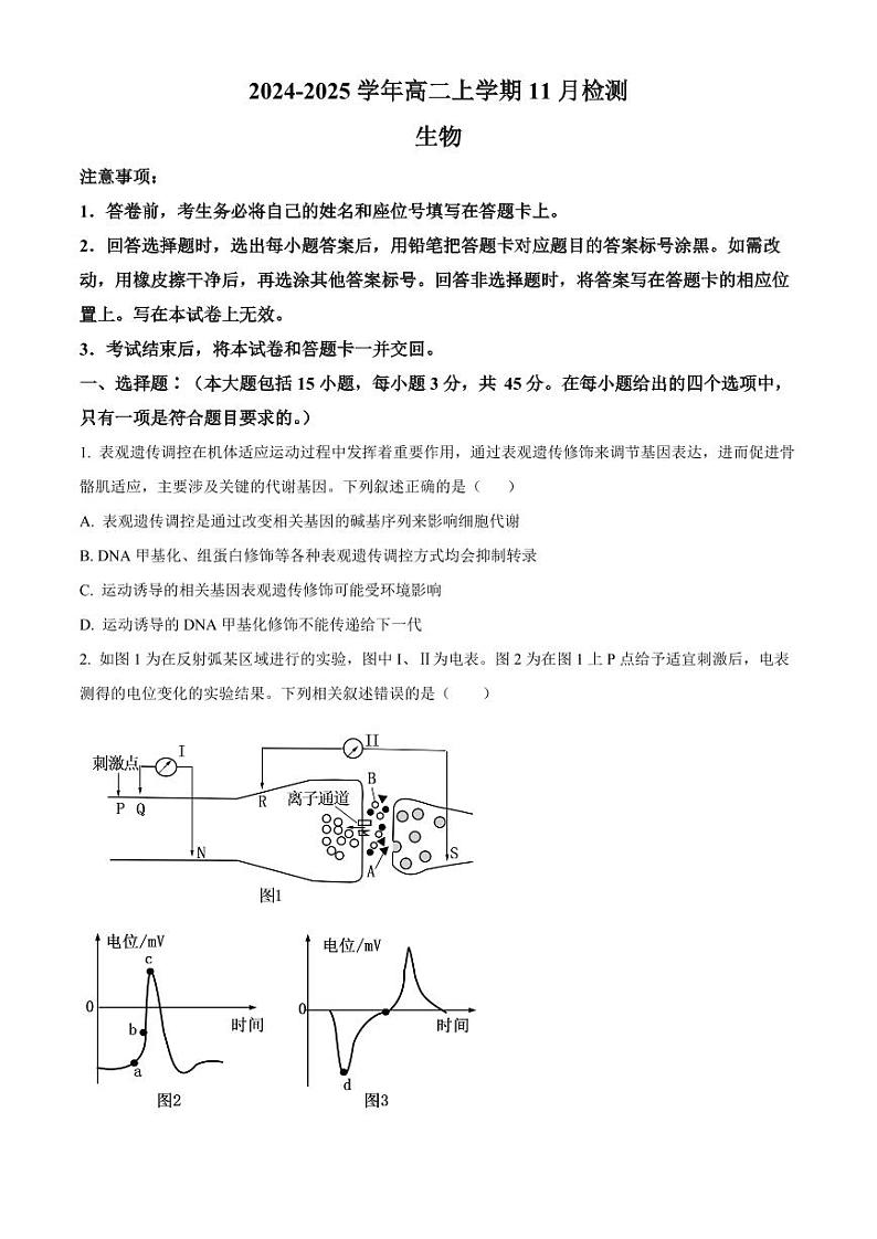 河南省安阳市林州市第一中学2024-2025学年高二上学期11月期中生物试题及答案第1页