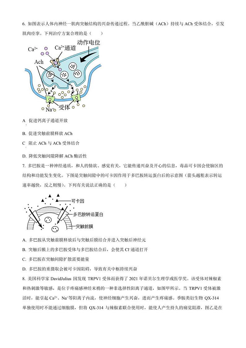 河南省安阳市林州市第一中学2024-2025学年高二上学期11月期中生物试题及答案第3页