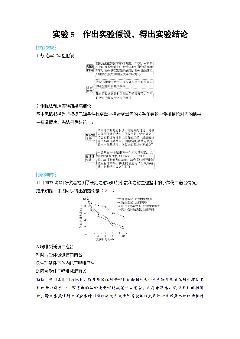 备战2025年高考生物精品教案第十三章实验与探究实验5作出实验假设，得出实验结论（Word版附解析）第1页