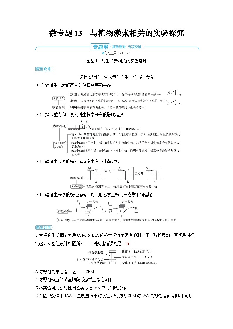 备战2025年高考生物精品教案第九章植物生命活动的调节微专题13与植物激素相关的实验探究（Word版附解析）第1页